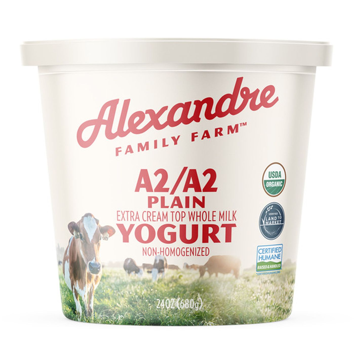 24oz Whole Milk Yogurt - Alexandre